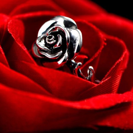 tankmm Romantic Wedding Rings for Women Real 925 Sterling Silver Rings Female Vintage Flower Rose Open Rings Jewelry 